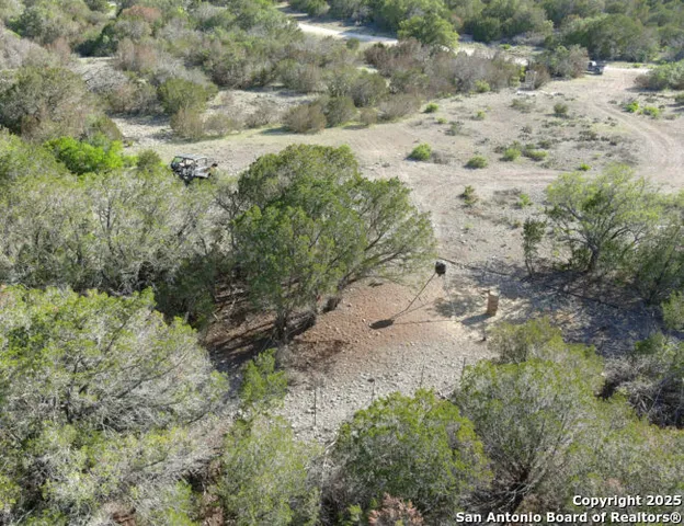 a view of a dry yard covered with trees