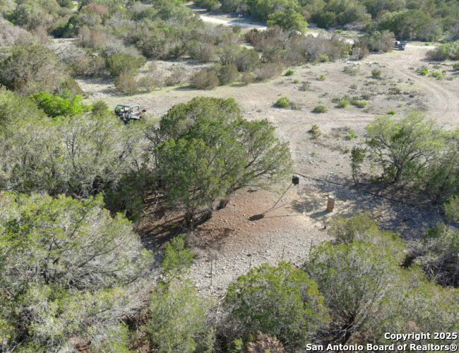 0 Newby Hills Ranch Rocksprings, TX 78880 - Photo 3 of 13 a view of a dry yard covered with trees