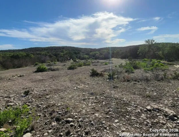 a view of a dry yard with green space