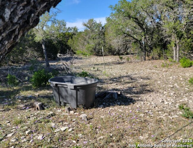 0 Newby Hills Ranch Rocksprings, TX 78880 - Photo 7 of 13 a view of a backyard with large trees