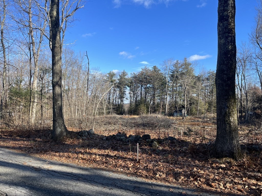0 Ward Hill Road Phillipston, MA 01331 - Photo 1 of 4 a view of a yard with trees