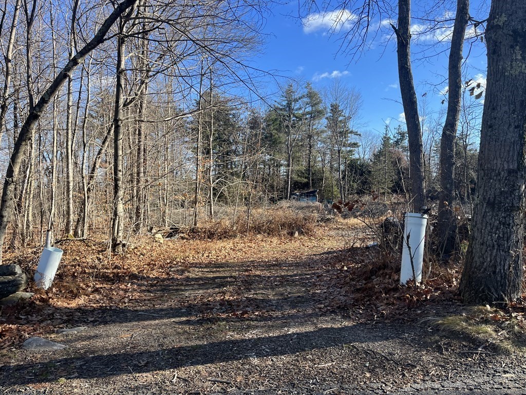 0 Ward Hill Road Phillipston, MA 01331 - Photo 2 of 4 a view of a yard with large trees