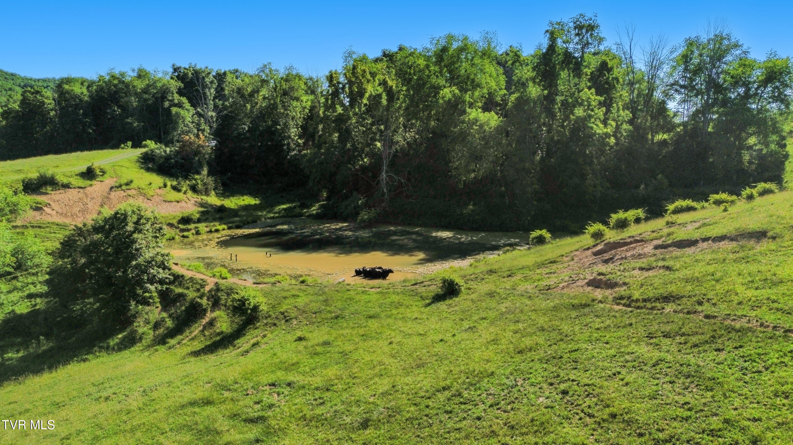 27363 Fudge Road Meadowview, VA 24361 - Photo 80 of 83 dji_fly_20260402_030754_995_178061109405