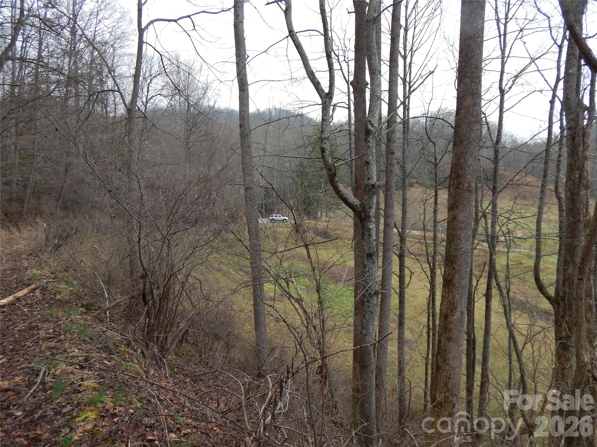 0 Henry Road Sylva, NC 28779 - Photo 17 of 25 Gallery Image 17