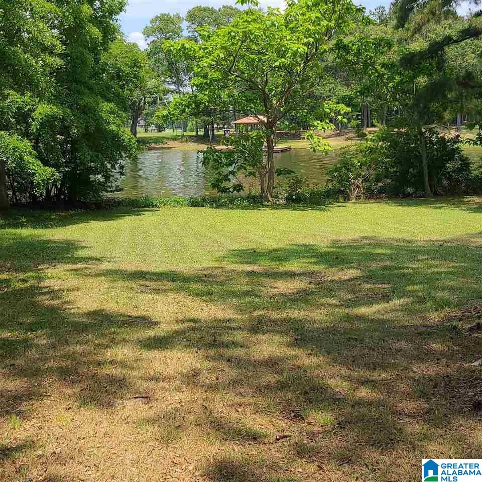 740 Big Rock Road Pell City, AL 35128 - Photo 19 of 24