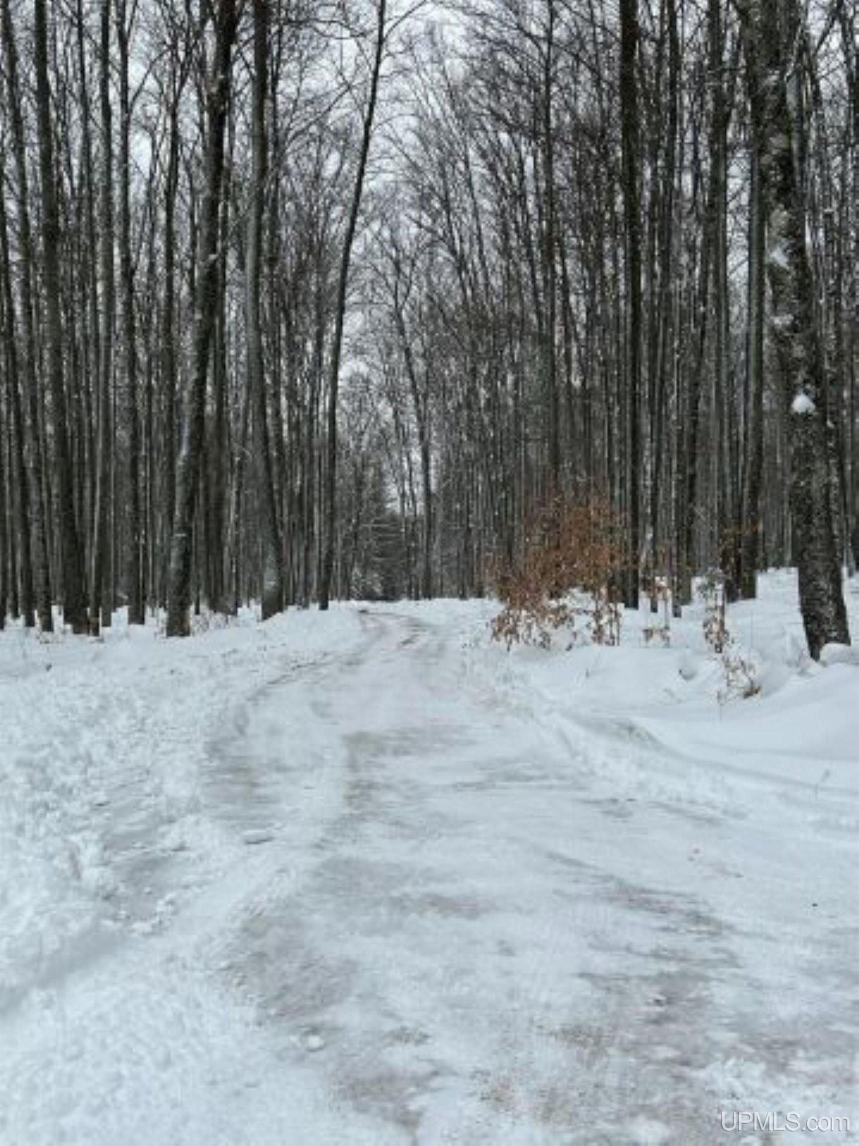 Tbd County Line Road Foster City, MI 49834 - Photo 14 of 56