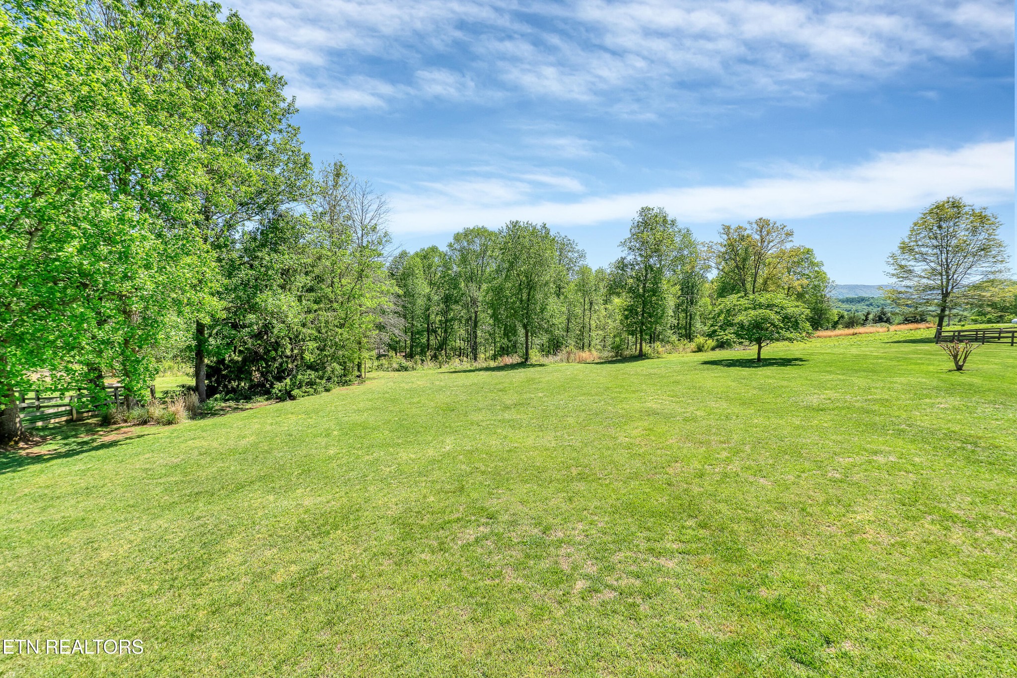 2036 Little Best Road Maryville, TN 37803 - Photo 52 of 54 a view of grassy field with trees
