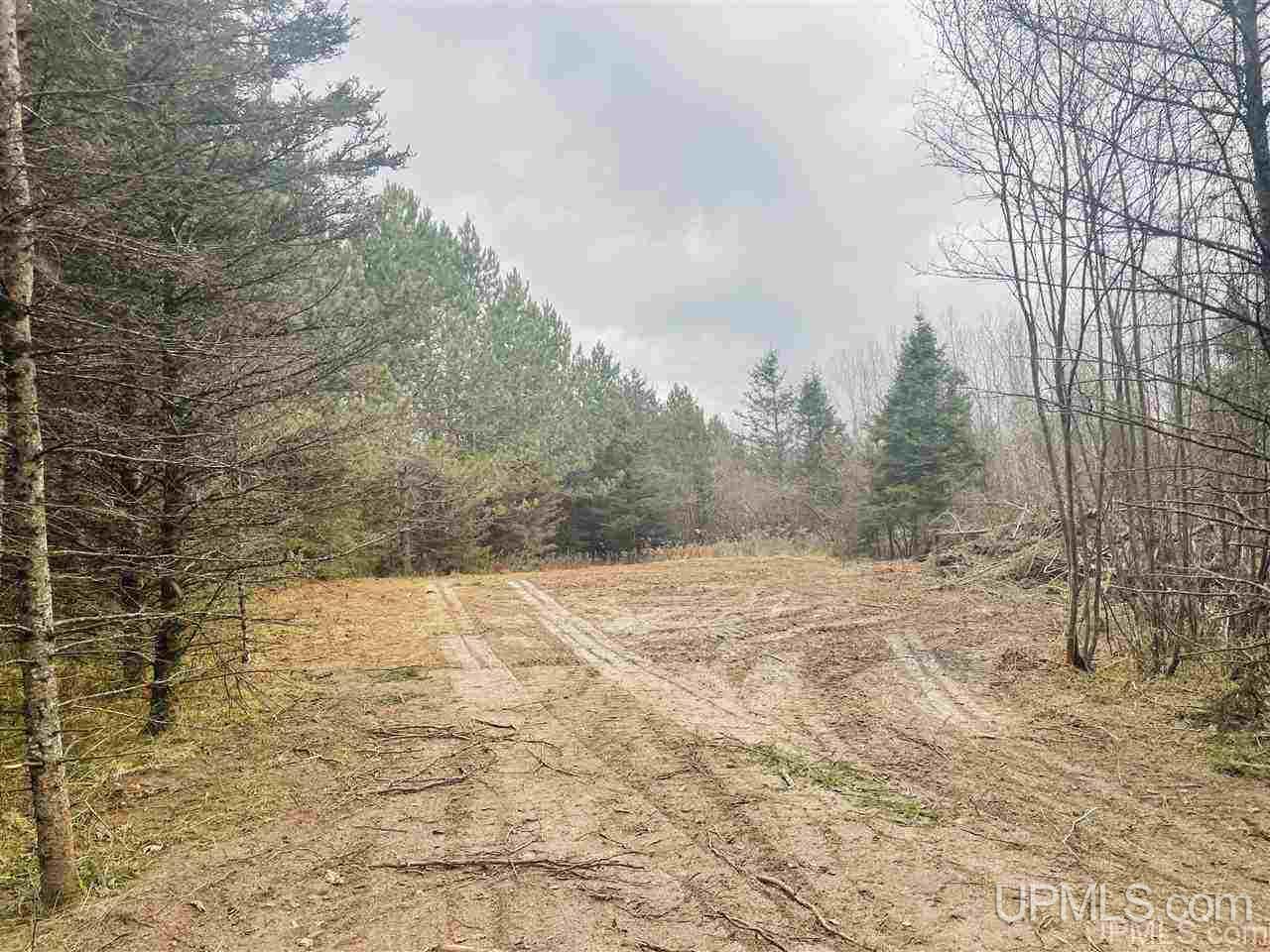 Tbd St Nicholas Road Rock, MI 49880 - Photo 15 of 22