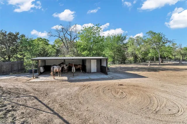 a view of a backyard