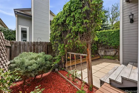 a view of backyard with wooden fence and large trees