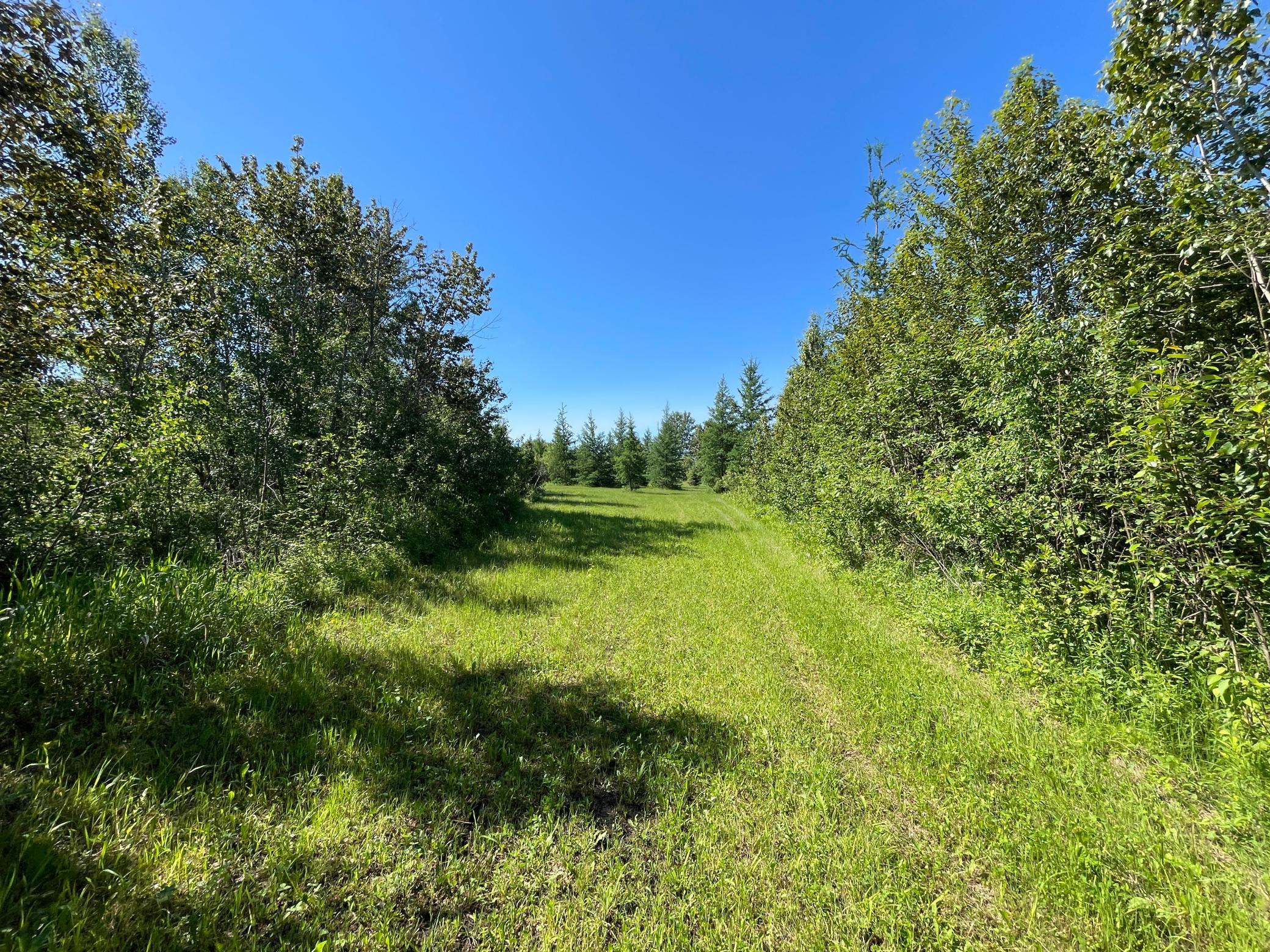 Tbd 440th Avenue Roseau, MN 56751 - Photo 58 of 80
