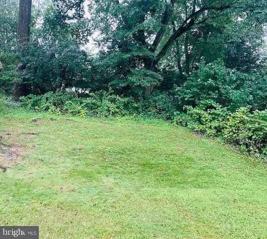a view of a green field