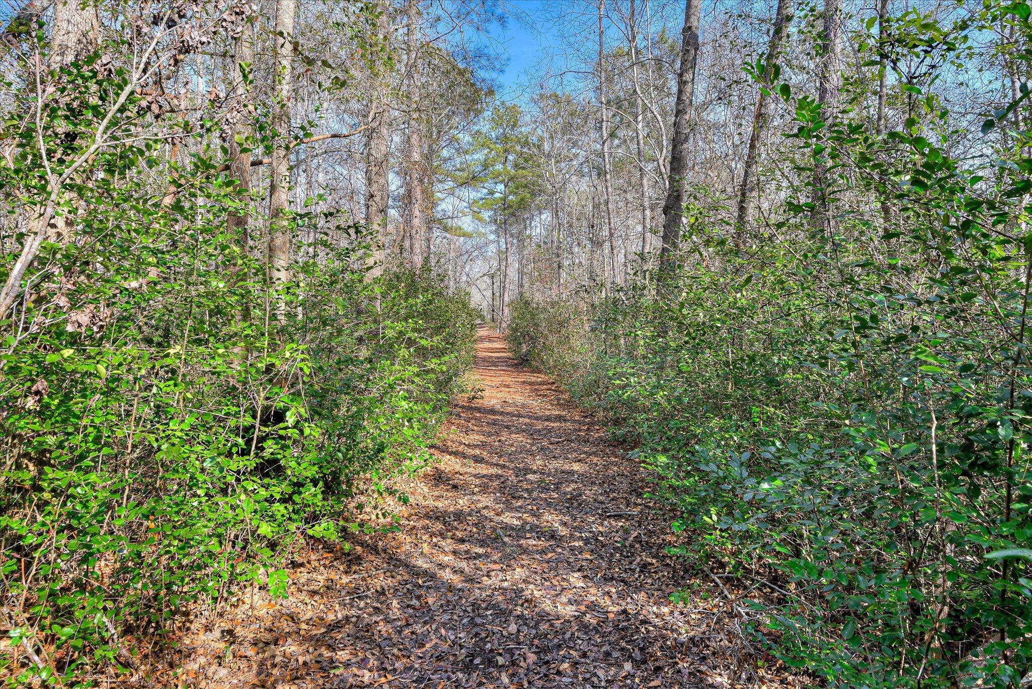 2 Day Road Aiken, SC 29805 - Photo 11 of 13 27-127