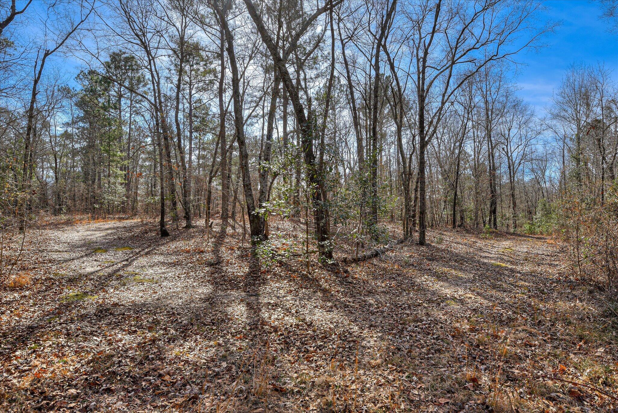 2 Day Road Aiken, SC 29805 - Photo 8 of 13 20-120
