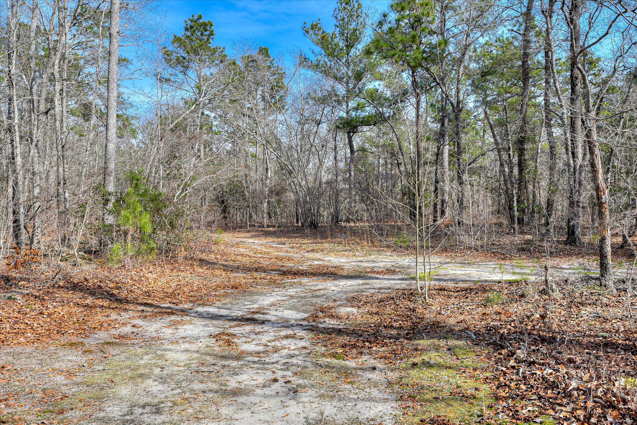 2 Day Road Aiken, SC 29805 - Photo 9 of 13 24-124