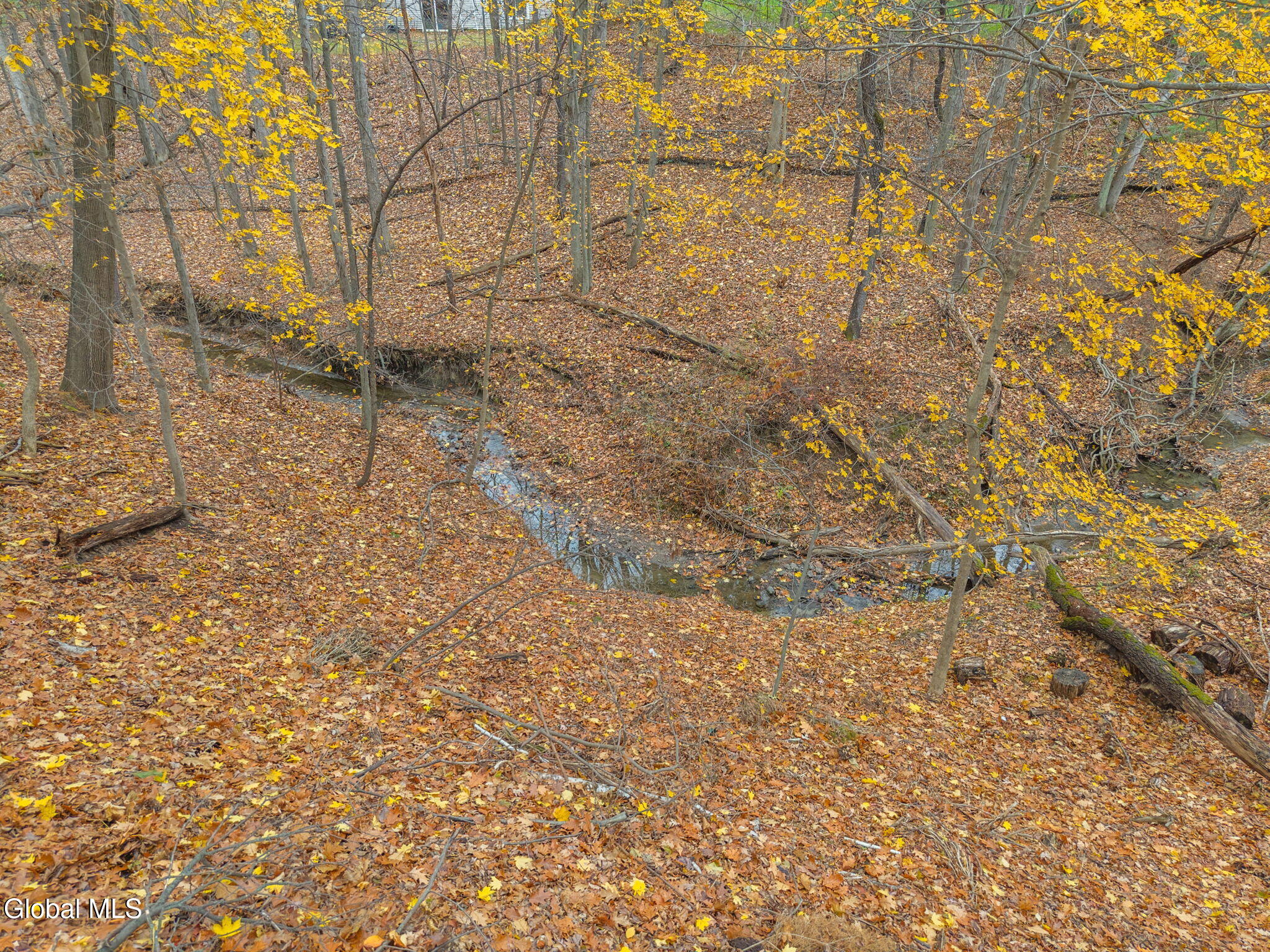 63 Bittersweet Lane Bethlehem, NY 12159 - Photo 50 of 52 58-63BittersweetLn_58