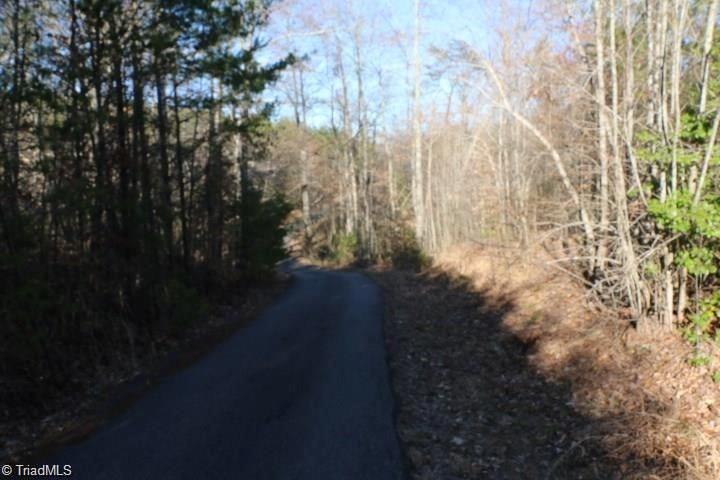 0 Thore Road Pinnacle, NC 27043 - Photo 3 of 12 Gallery Image 3