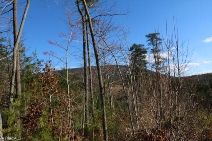 0 Thore Road Pinnacle, NC 27043 - Photo 5 of 12 Gallery Image 5