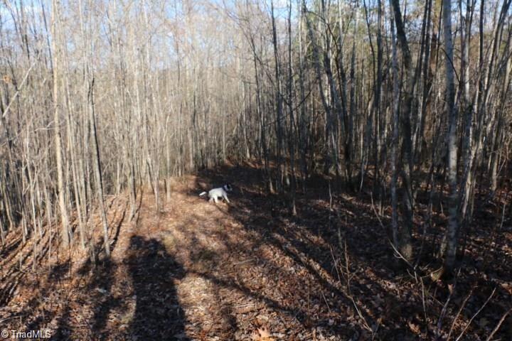 0 Thore Road Pinnacle, NC 27043 - Photo 6 of 12 Gallery Image 6