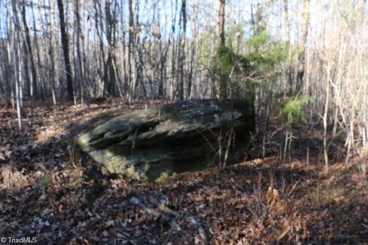 0 Thore Road Pinnacle, NC 27043 - Photo 8 of 12 Gallery Image 8