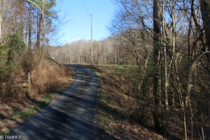 0 Thore Road Pinnacle, NC 27043 - Photo 9 of 12 Gallery Image 9
