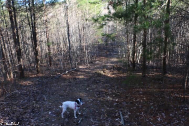 0 Thore Road Pinnacle, NC 27043 - Photo 10 of 12 Gallery Image 10