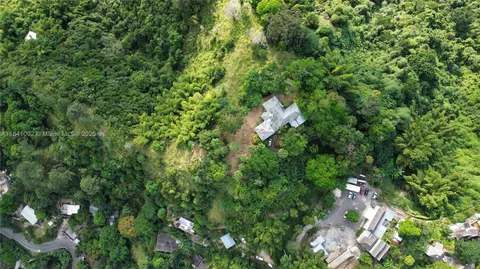 a backyard of a house with lots of trees