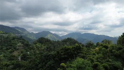 an aerial view of houses covered in trees