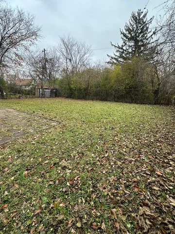 a view of a yard with a house and a large tree