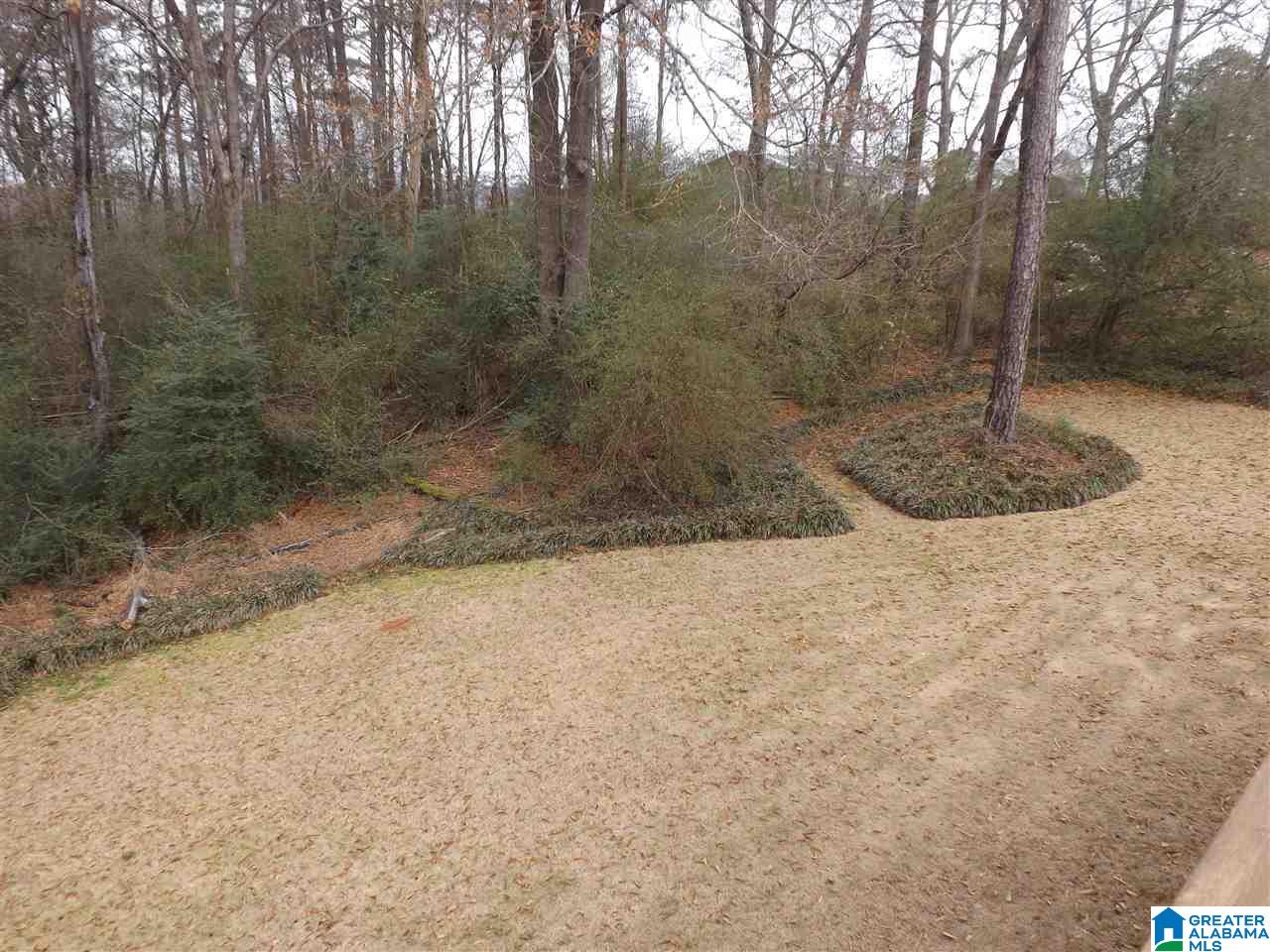 10 Monte Bello Lane Montevallo, AL 35115 - Photo 30 of 45