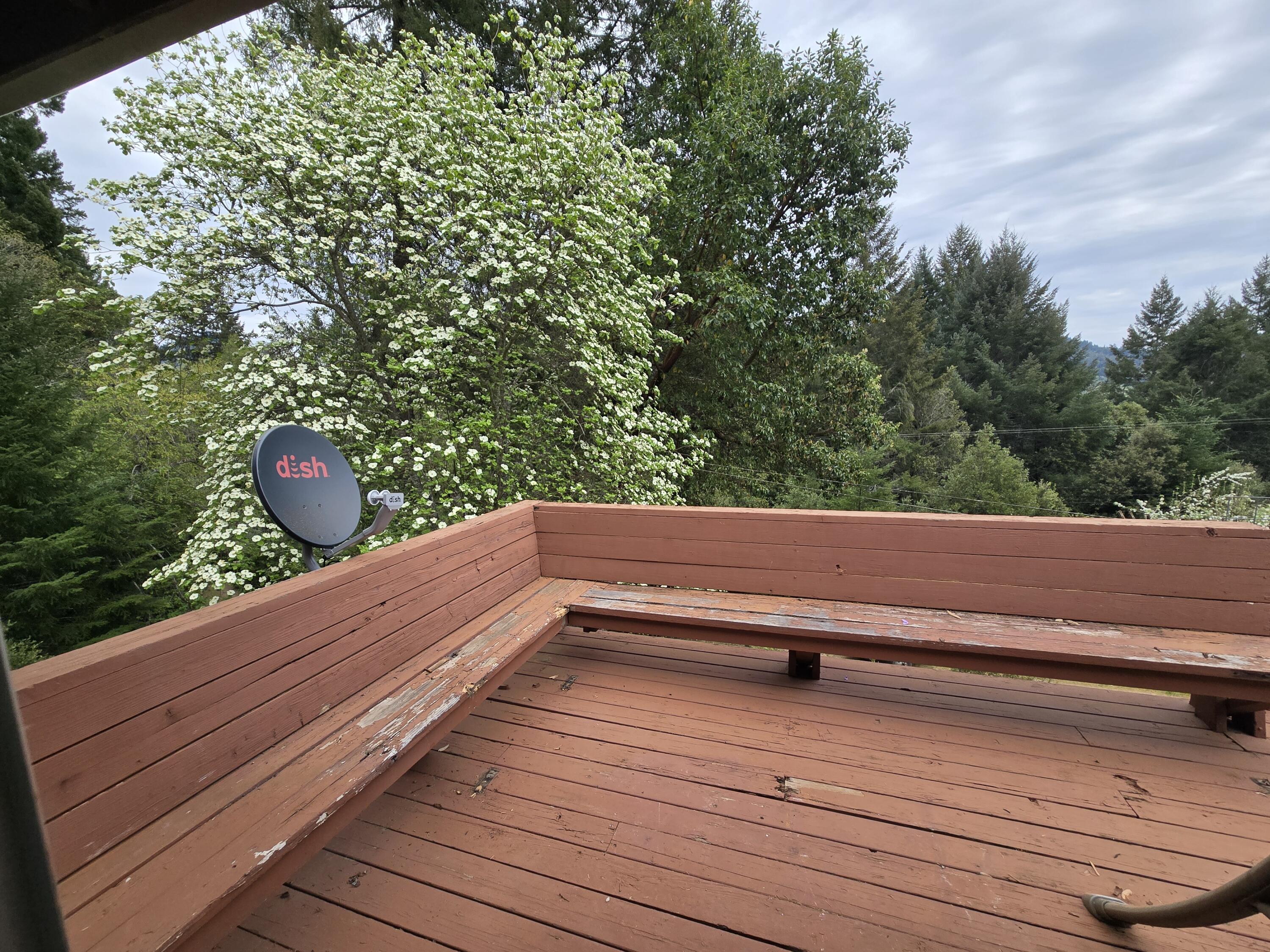 330 Colony Road Myers Flat, CA 95554 - Photo 23 of 41