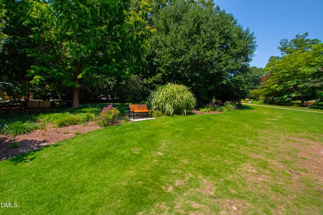 a view of a backyard with large trees