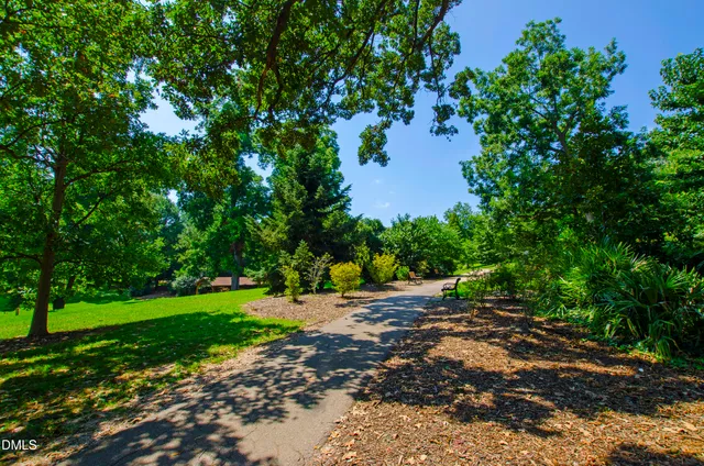 a view of a yard with plants and large trees