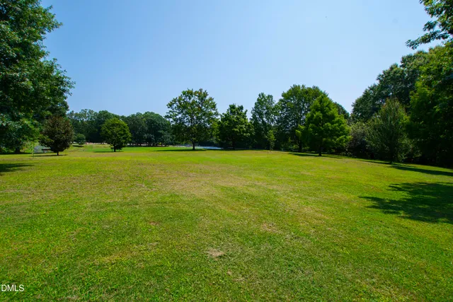 a view of a green field with a tree in the background