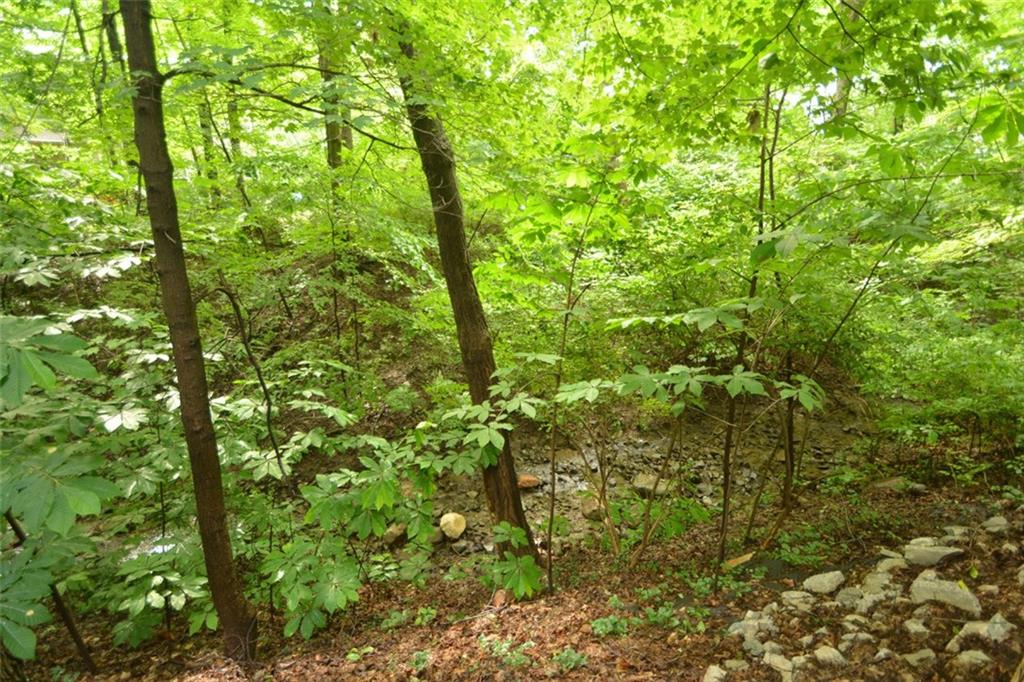 6461 Harrison Ridge Boulevard Indianapolis, IN 46236 - Photo 23 of 24 Gallery Image 23