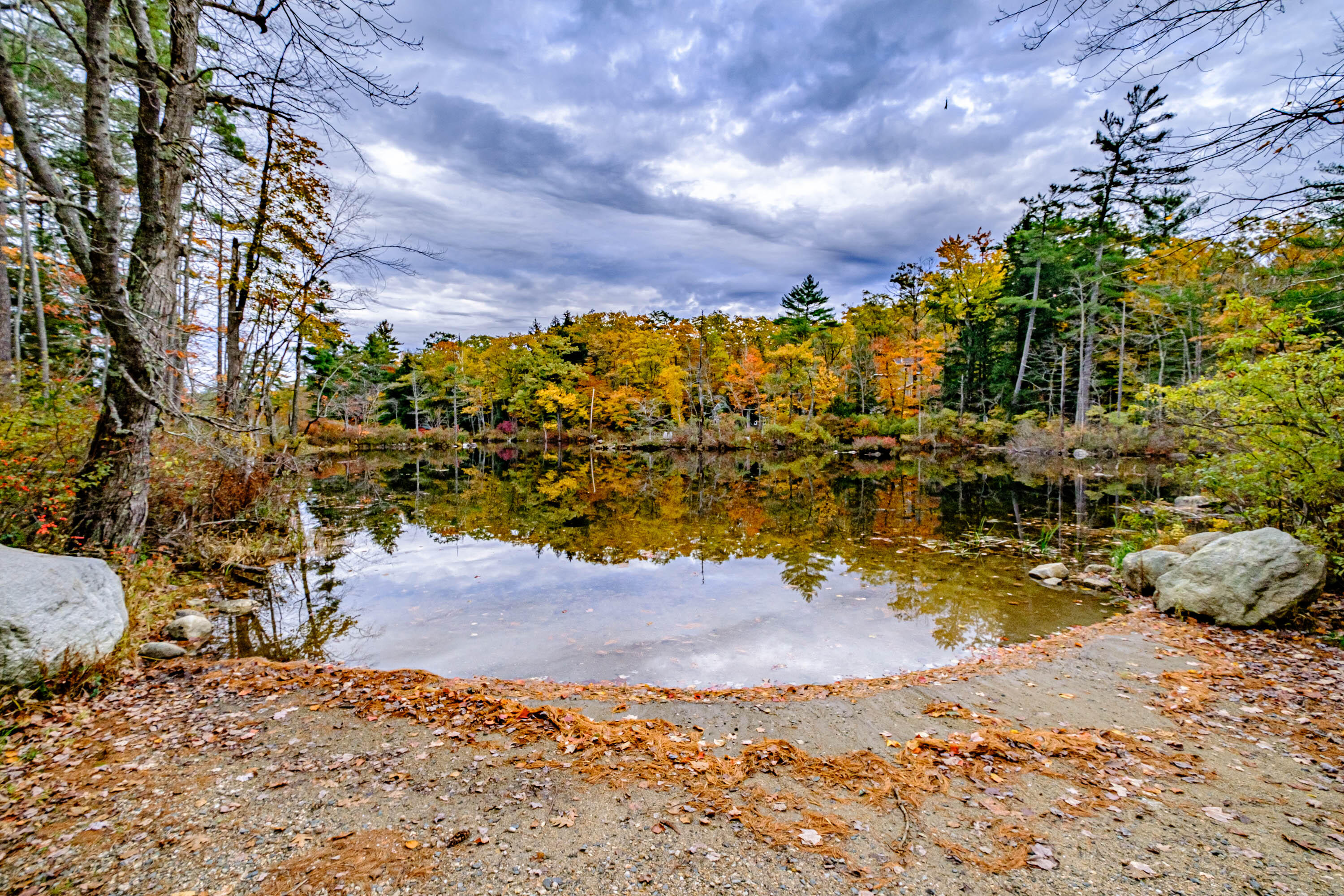 463 Peabody Pond Road Sebago, ME 04029 - Photo 43 of 70 20231024gp-63076