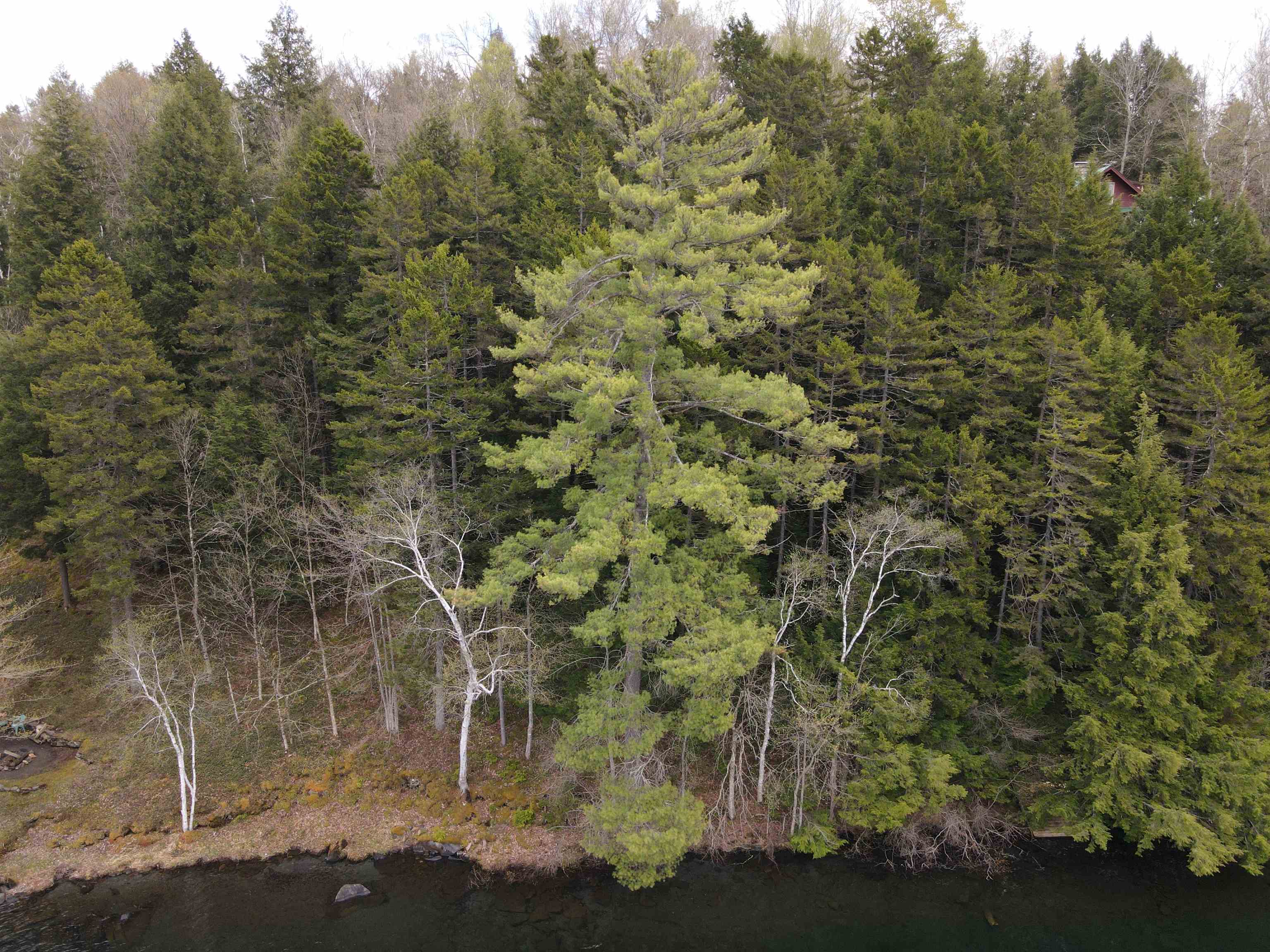 Tbd Rathburn Road East Calais, VT 05650 - Photo 20 of 40