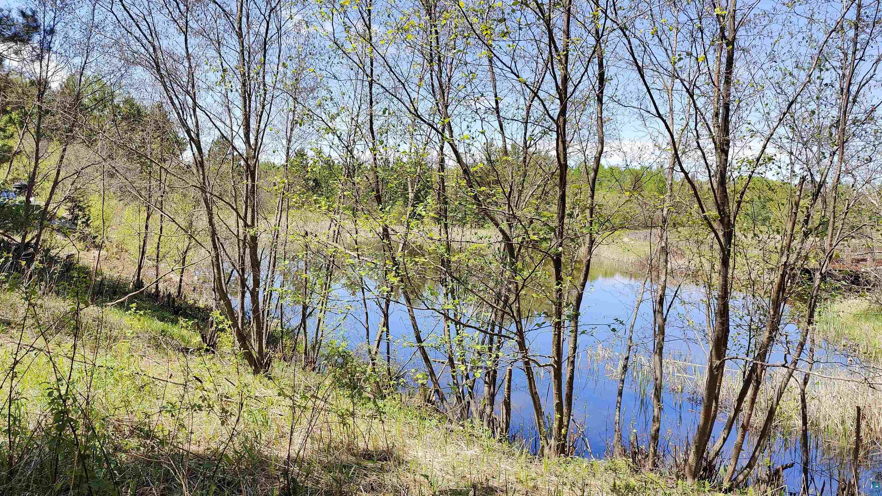 80086 Waters Of Vermilion Road Tower, MN 55790 - Photo 11 of 52 Water view featuring a forest view