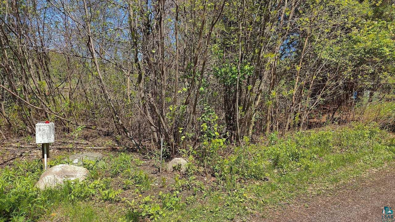 80086 Waters Of Vermilion Road Tower, MN 55790 - Photo 2 of 52 View of local wilderness featuring a forest view