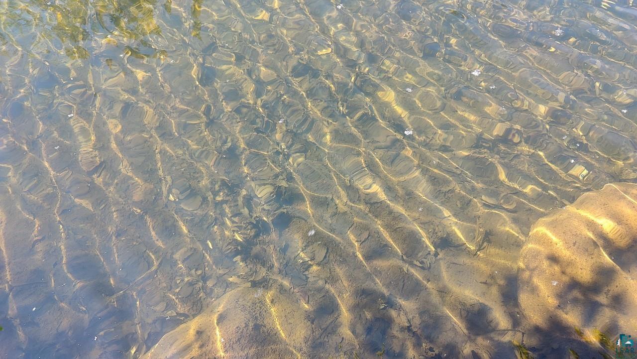 80086 Waters Of Vermilion Road Tower, MN 55790 - Photo 35 of 52 View of exterior details