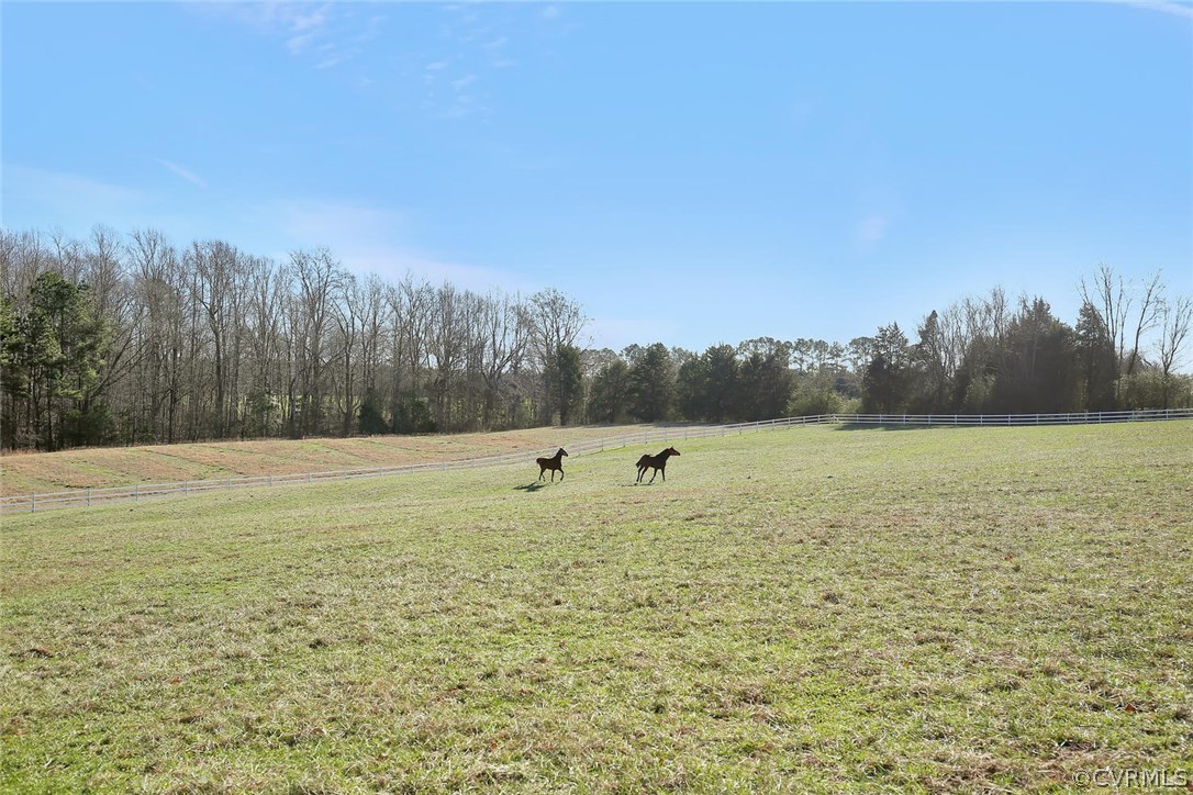1885 Robertsons Road Blackstone, VA 23824 - Photo 43 of 48 Having a spacious pasture can help make having hea