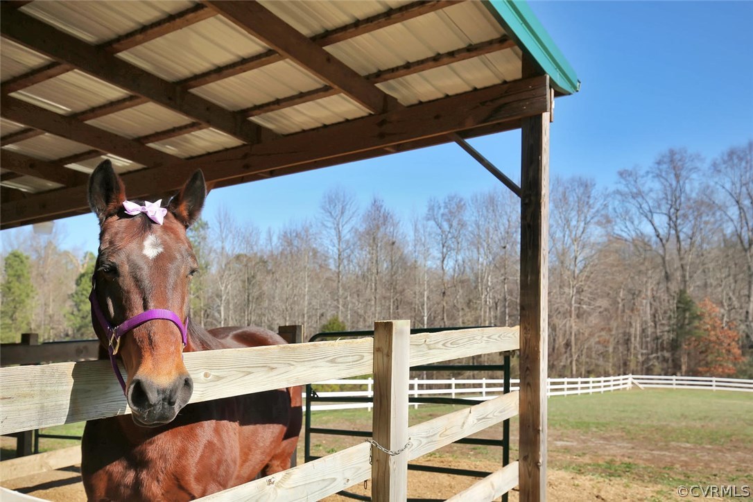 1885 Robertsons Road Blackstone, VA 23824 - Photo 45 of 48 This paddocks offers easy access to one of two pas