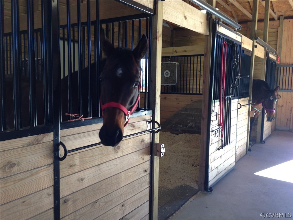 1885 Robertsons Road Blackstone, VA 23824 - Photo 46 of 48 Clean stalls often are one important sign that hor