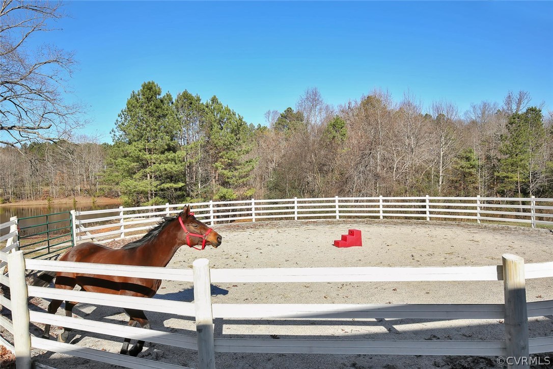 1885 Robertsons Road Blackstone, VA 23824 - Photo 8 of 48 This training ring, like many other features at th