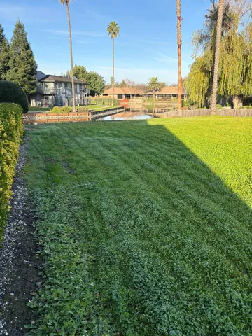 a view of a swimming pool with a yard
