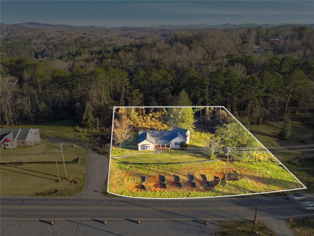 1805 Blue Ridge Drive Blue Ridge, GA 30513 - Photo 3 of 31 a view of a yard with an outdoor seating