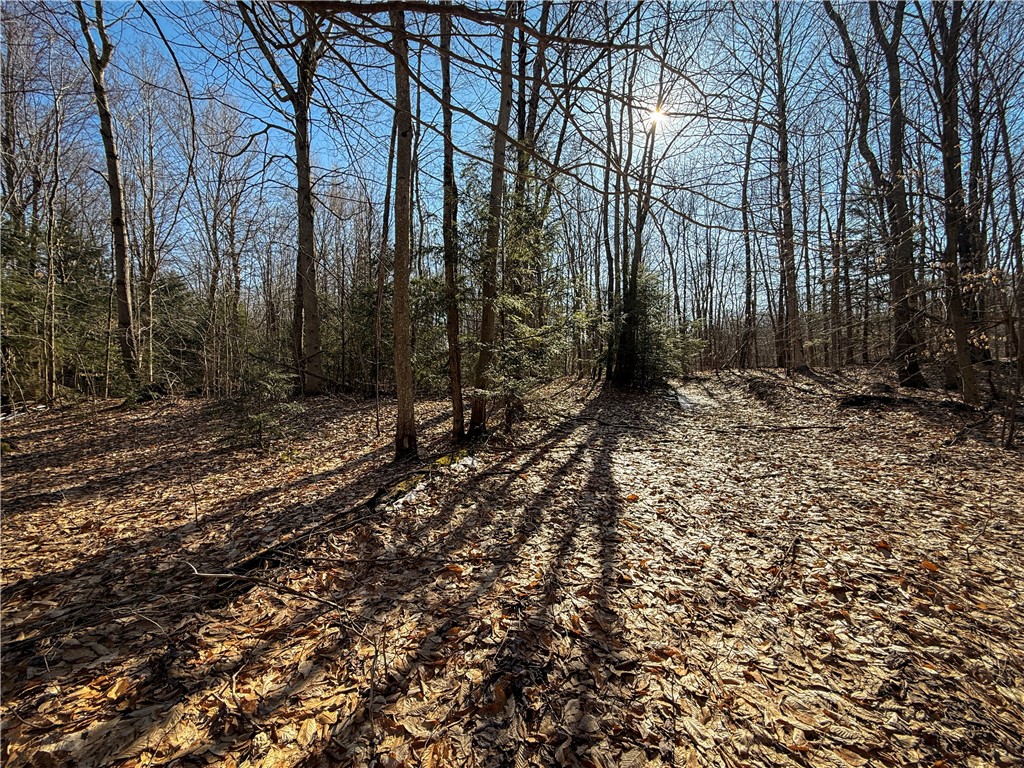 Paradise Road Central Square, NY 13036 - Photo 1 of 31