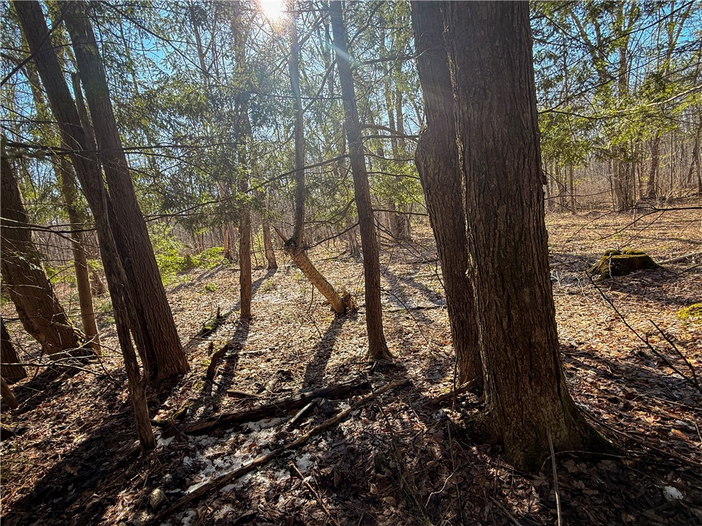 Paradise Road Central Square, NY 13036 - Photo 11 of 31