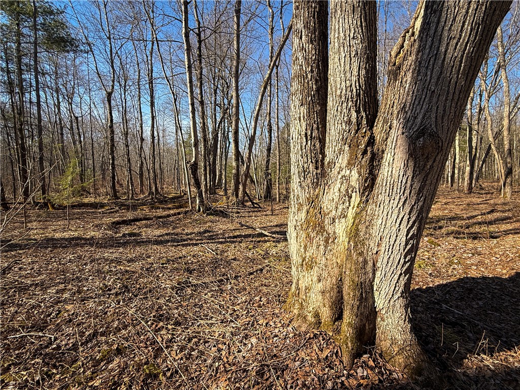 Paradise Road Central Square, NY 13036 - Photo 12 of 31