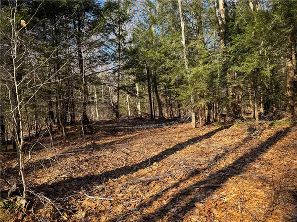 $49,900 | Paradise Road, Central Square, NY 13036